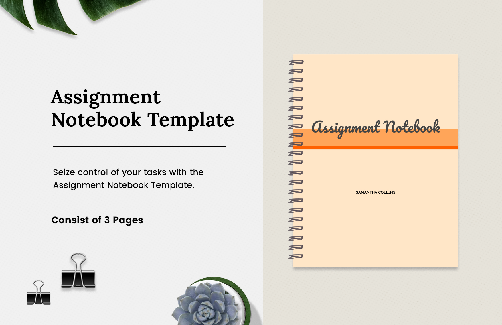 Assignment Notebook Template