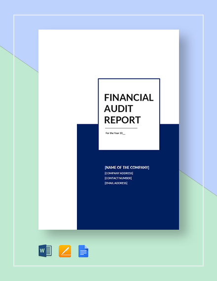 financial audit report