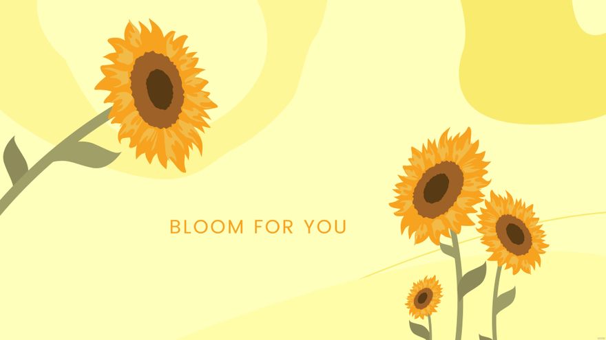 Sunflower Laptop Wallpaper