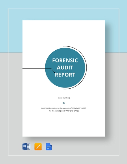 forensic audit report