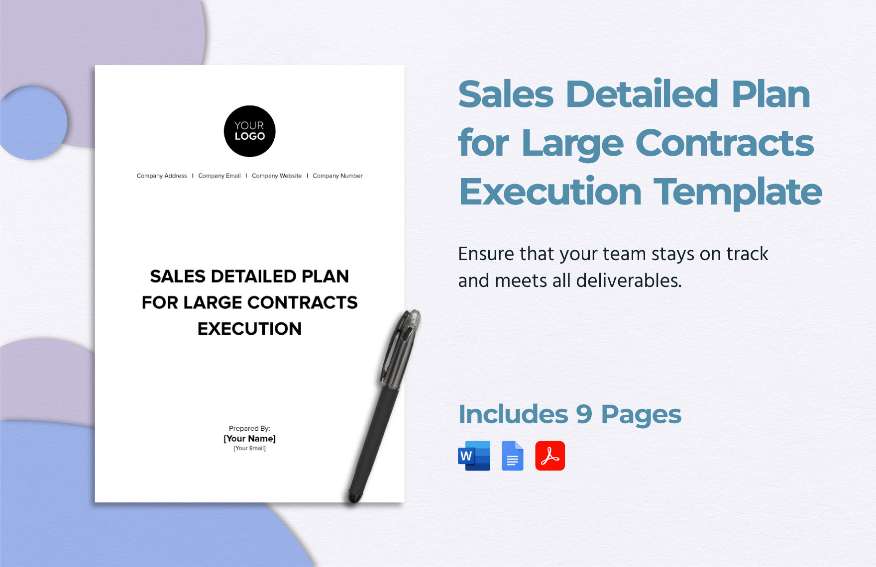 Sales Detailed Plan for Large Contracts Execution Template