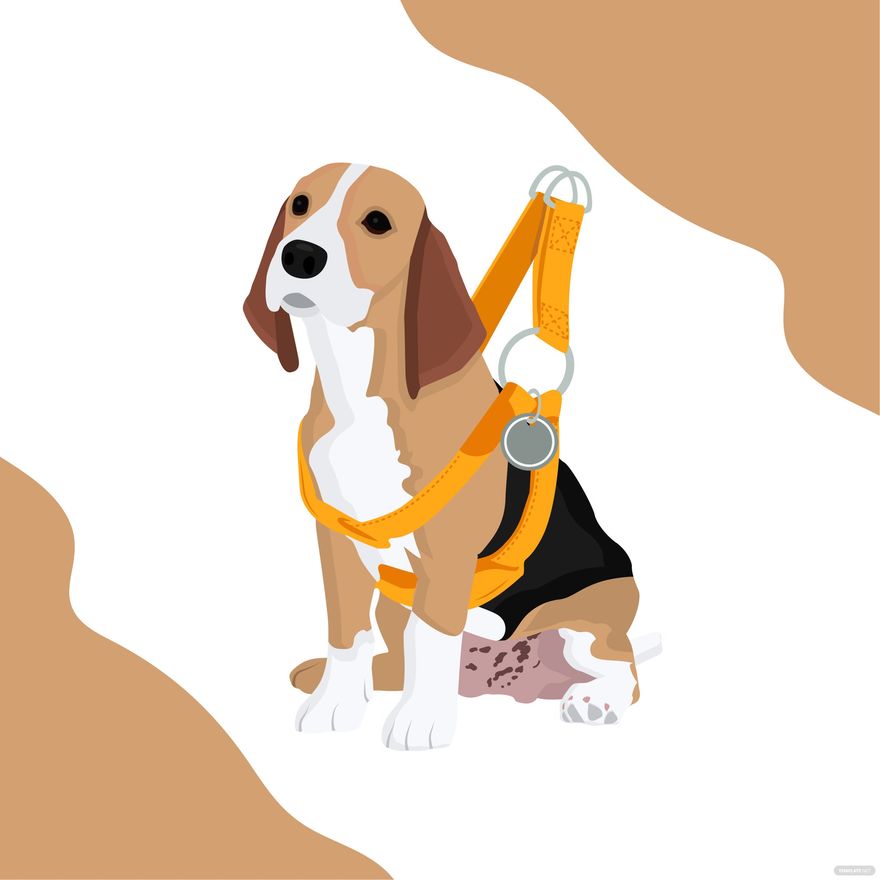 Dog Harness Vector