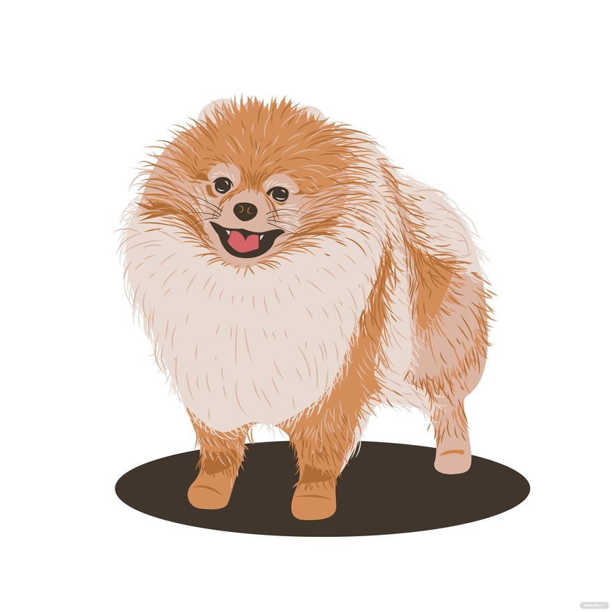 Pomeranian Dog Vector