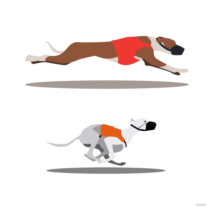 Racing Dog Vector