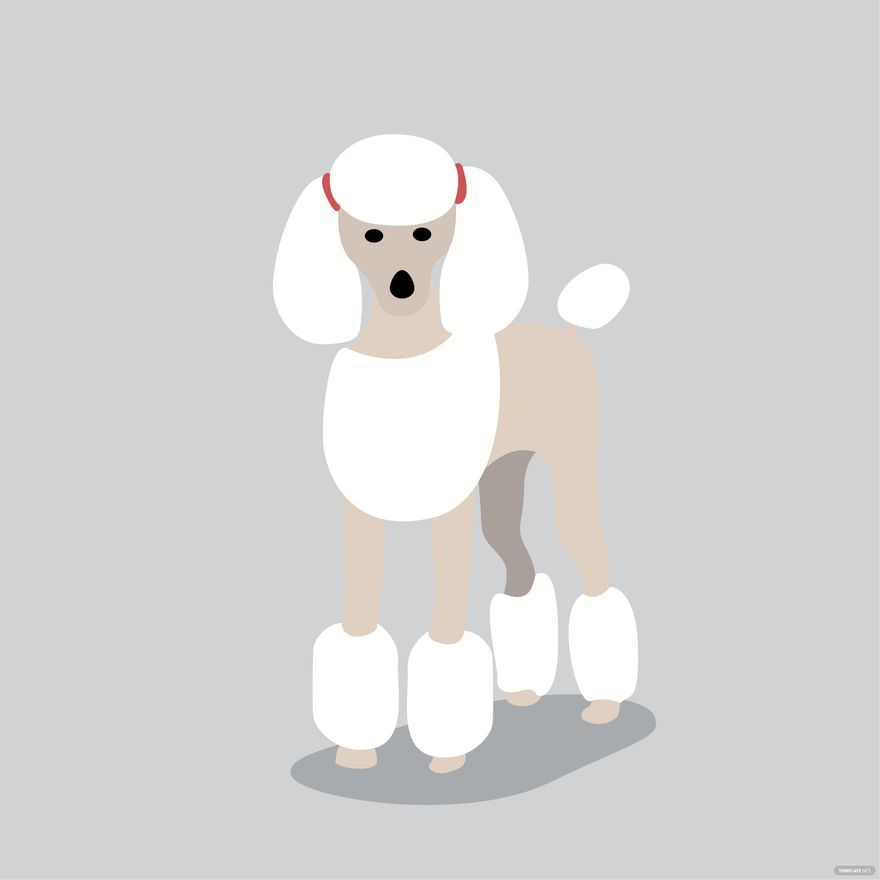 Poodle Dog Vector