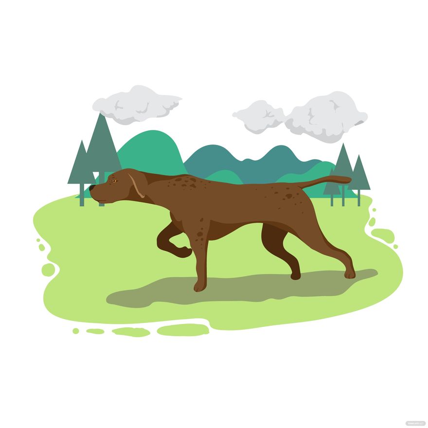 Hunting Dog Vector