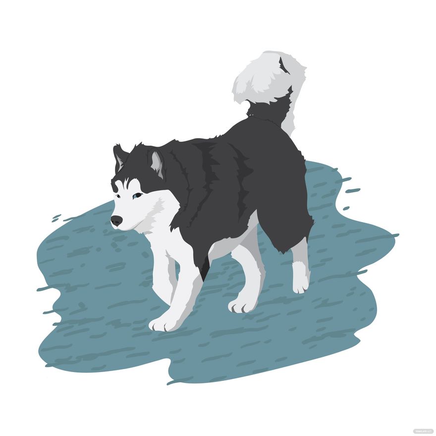 Husky Dog Vector