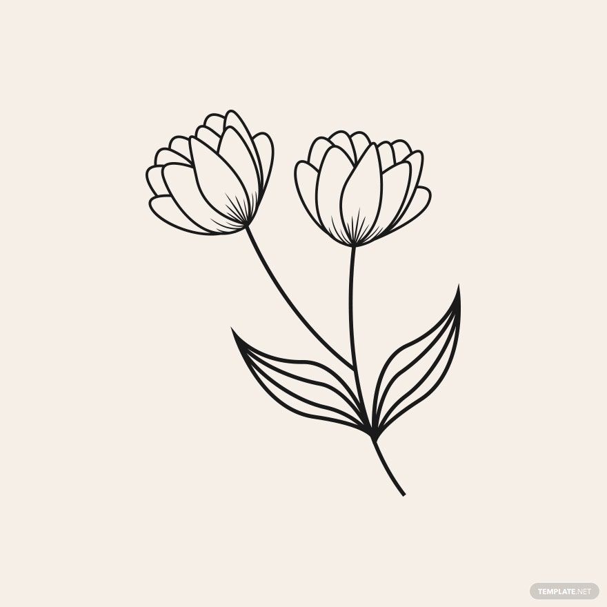 Floral Outline Vector