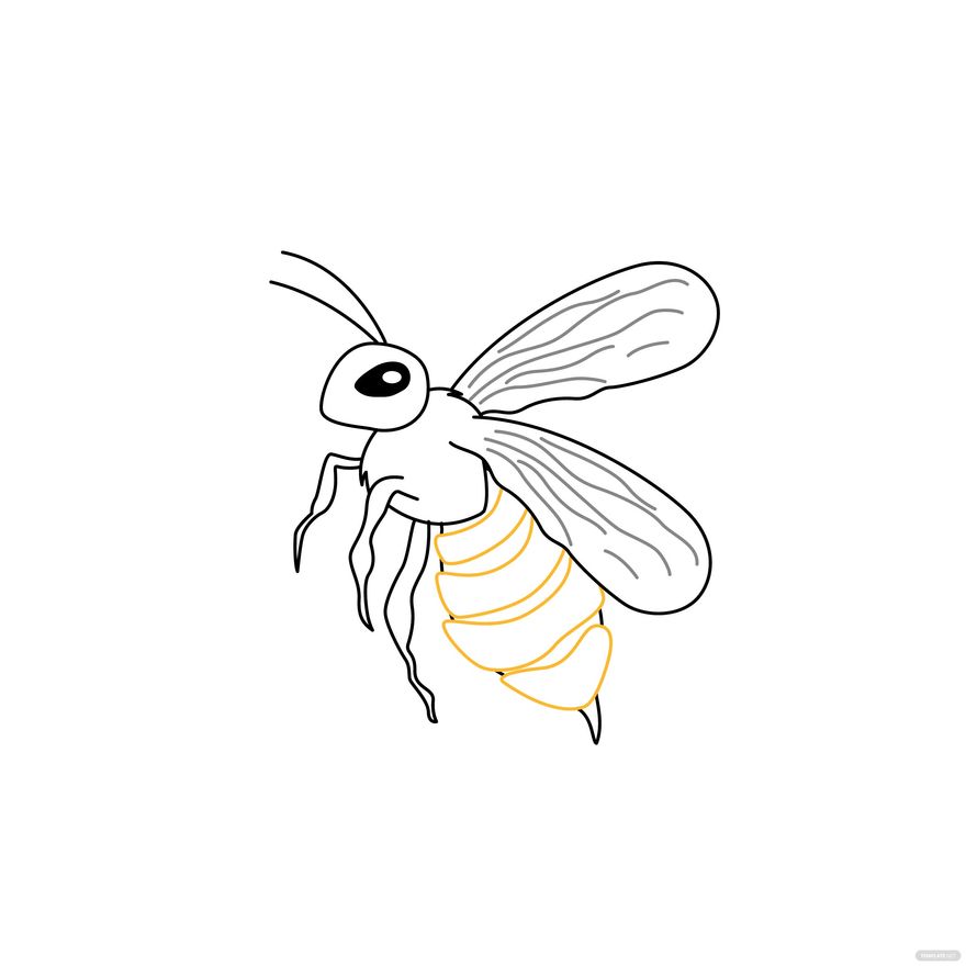 Bee Outline Vector