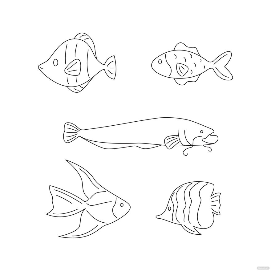 Fish Outline Vector