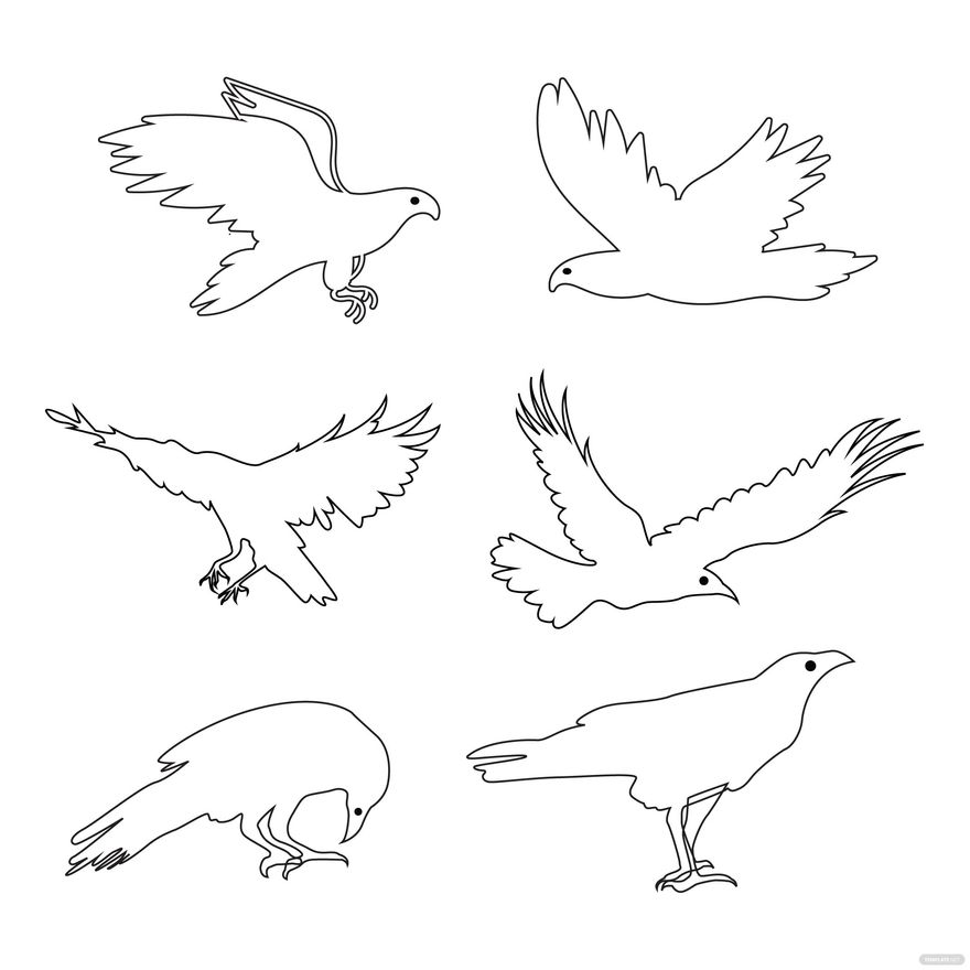 Eagle Outline Vector