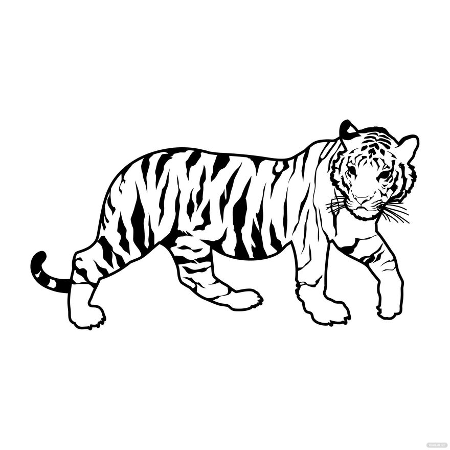 Tiger Outline Vector