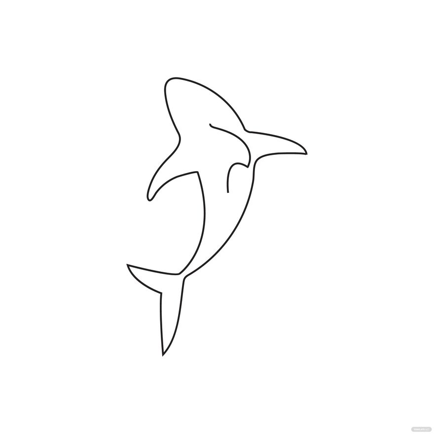 Shark Outline Vector