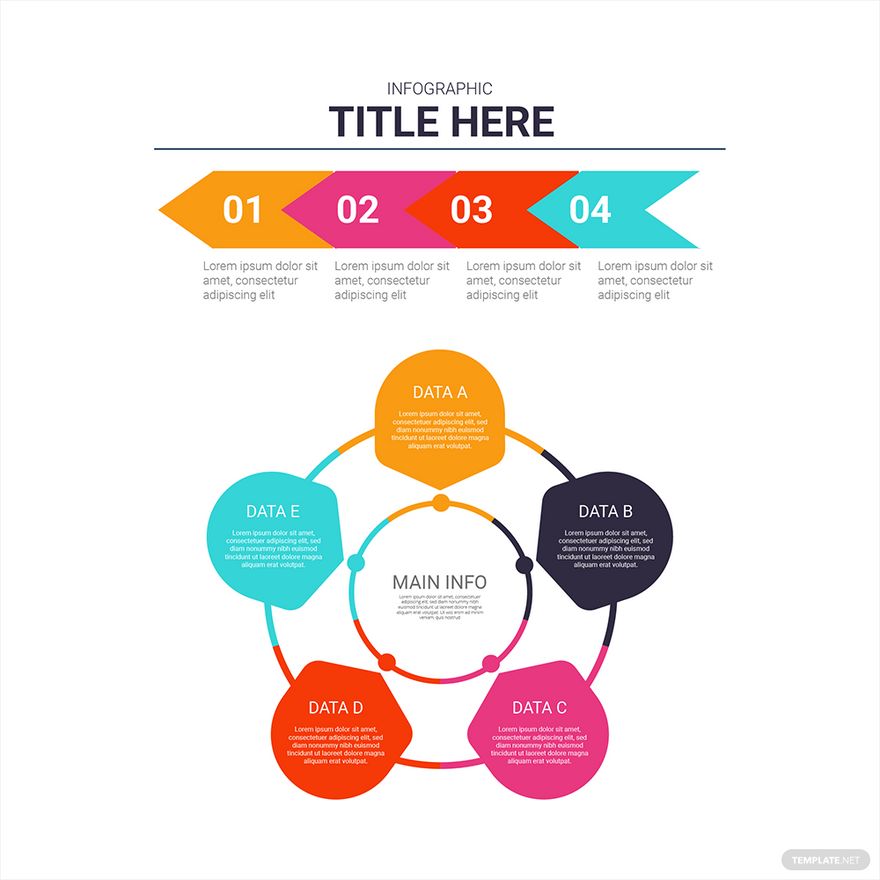 Infographic Graph Vector