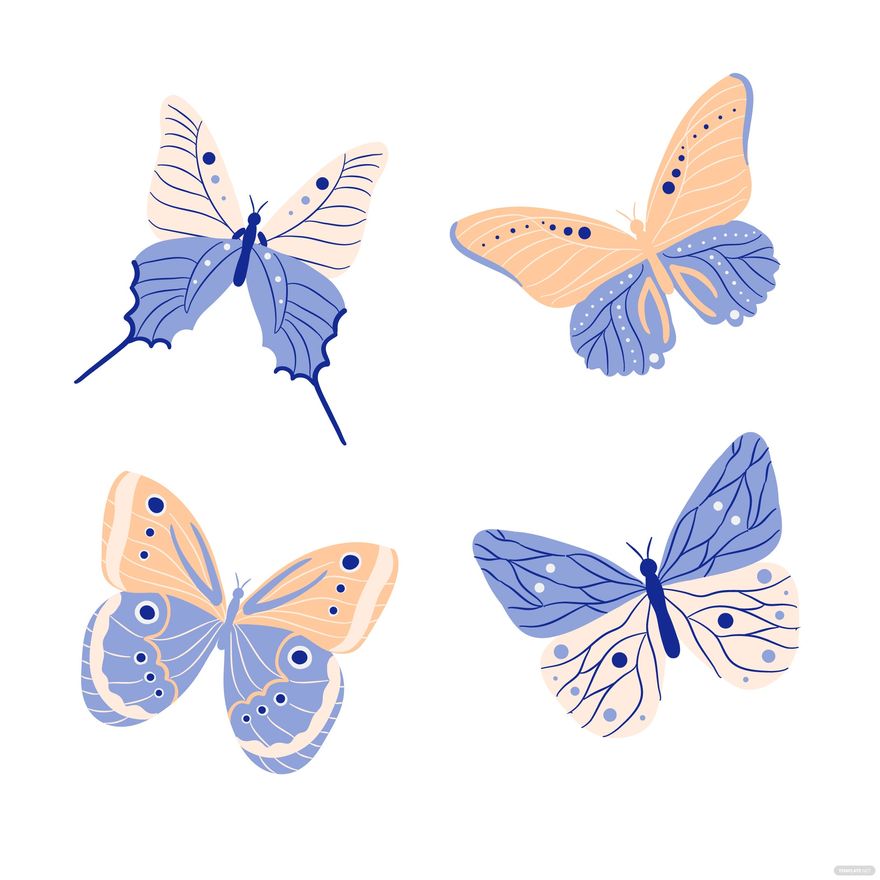 Cute Butterfly Vector