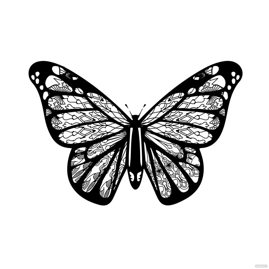 Mandala Butterfly Vector