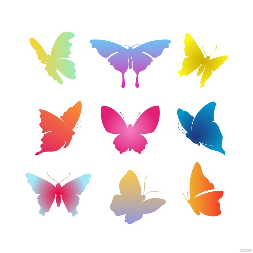 Colorful Butterfly Vector