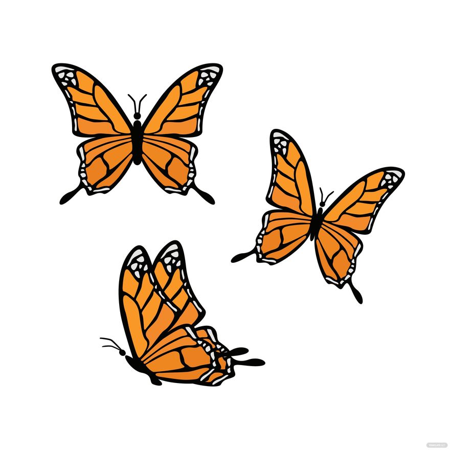 Monarch Butterfly Vector