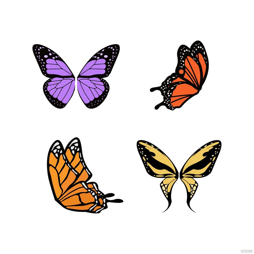 Butterfly Wings Vector