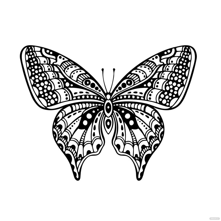 Ornate Butterfly Vector