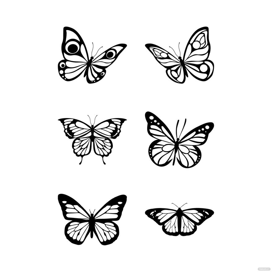 Black Butterfly Vector