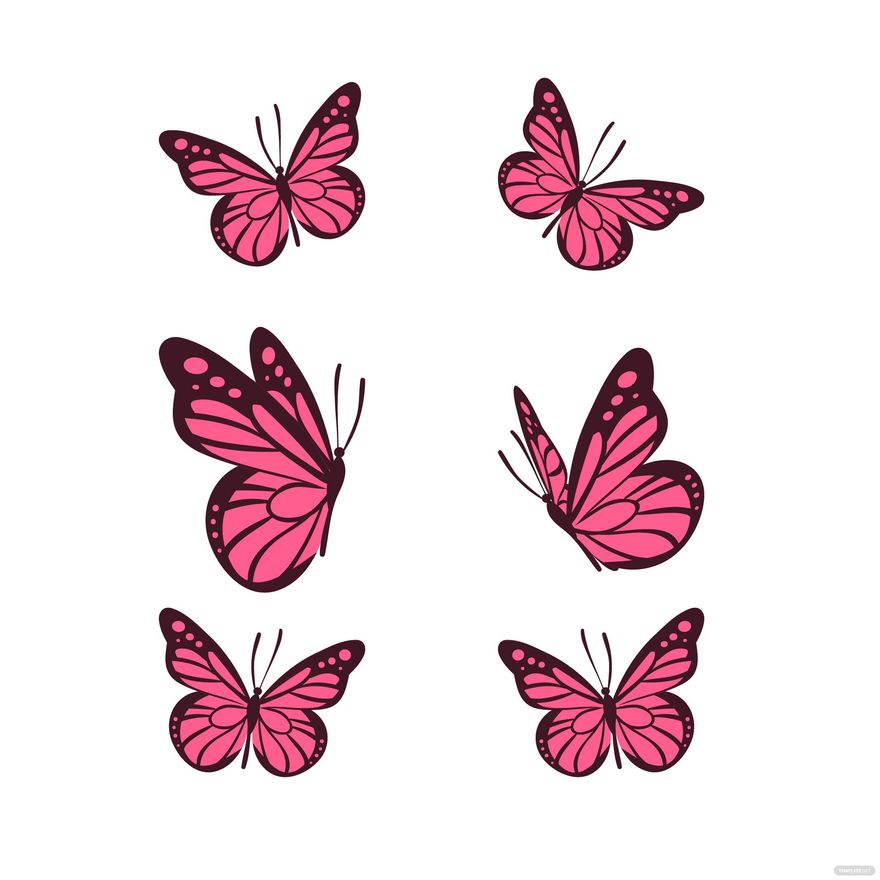 Pink Butterfly Vector