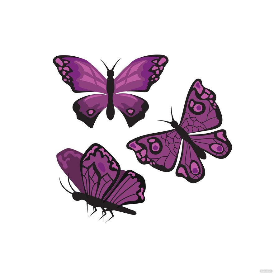 Purple Butterfly Vector