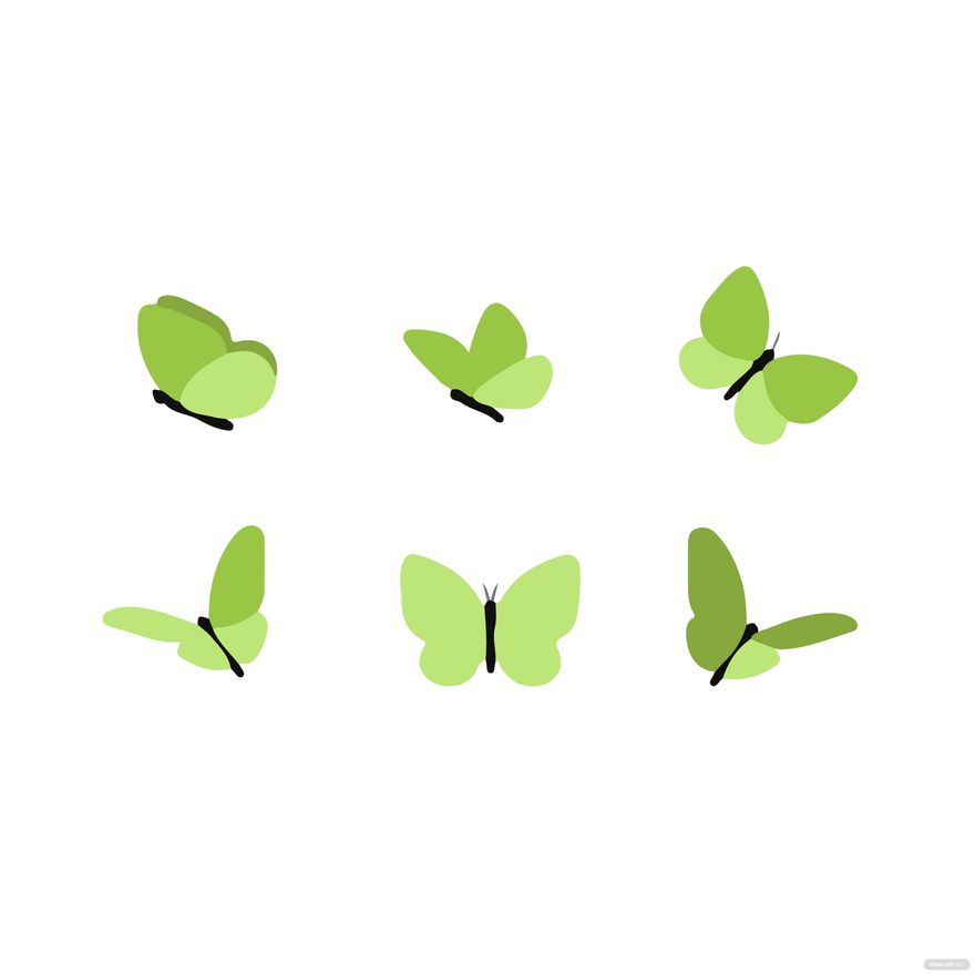 Green Butterfly Vector