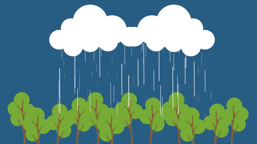 Nature Rain Background