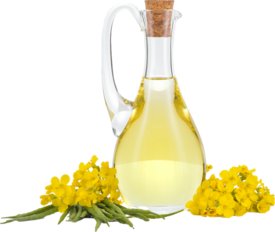 Canola Oil