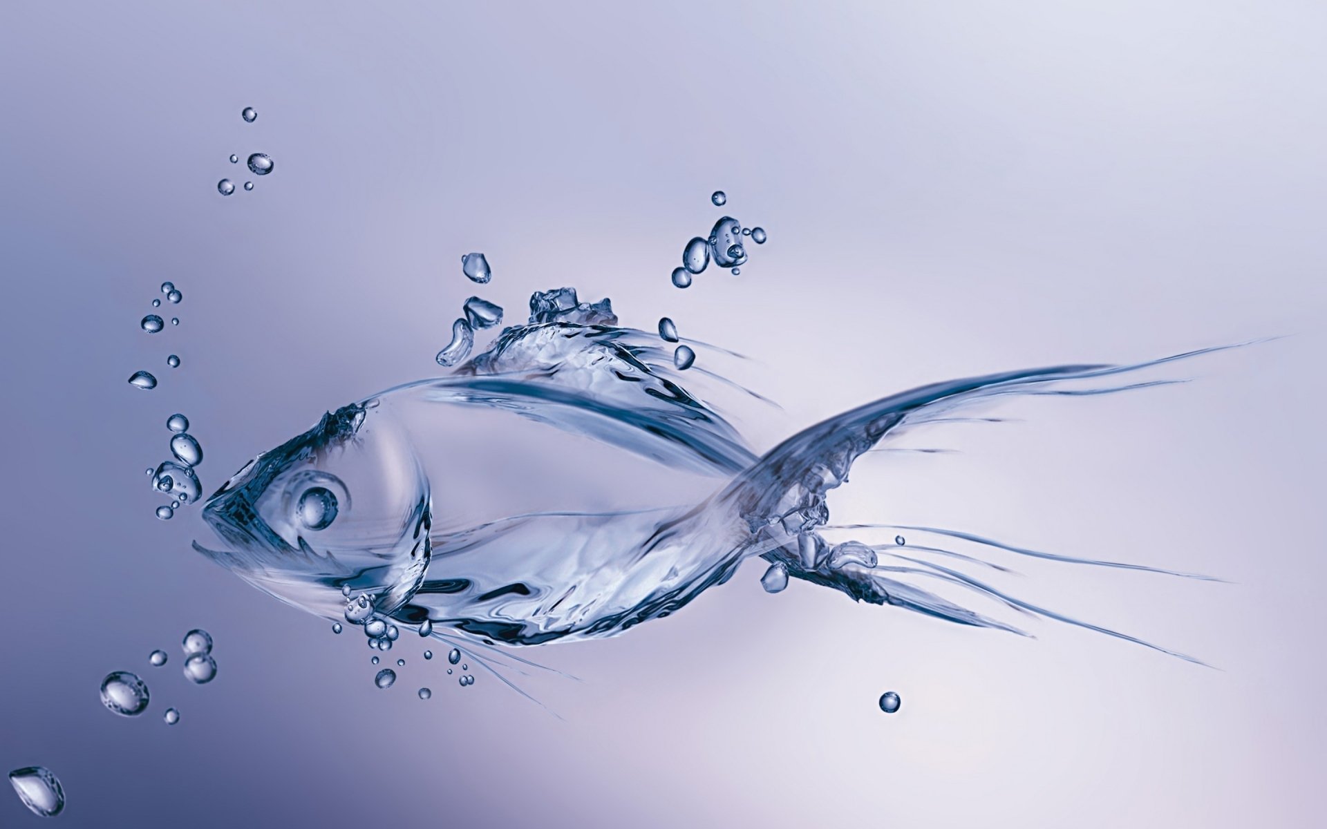 Details 300 fish background hd