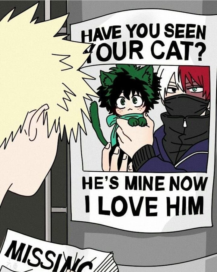 Deku cat - Meme by B2-_. :) Memedroid