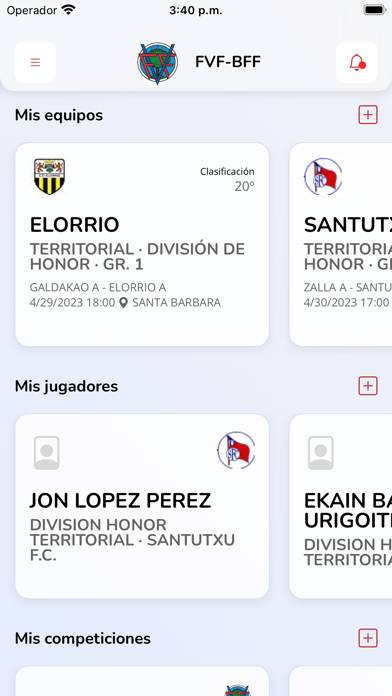 Federación Vizcaína de Fútbol screenshot