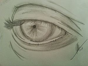 Eye