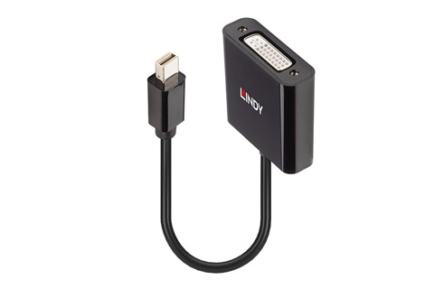 Lindy Mini DisplayPort to DVI-D