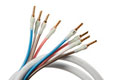 Bi-amping loudspeaker cable icon