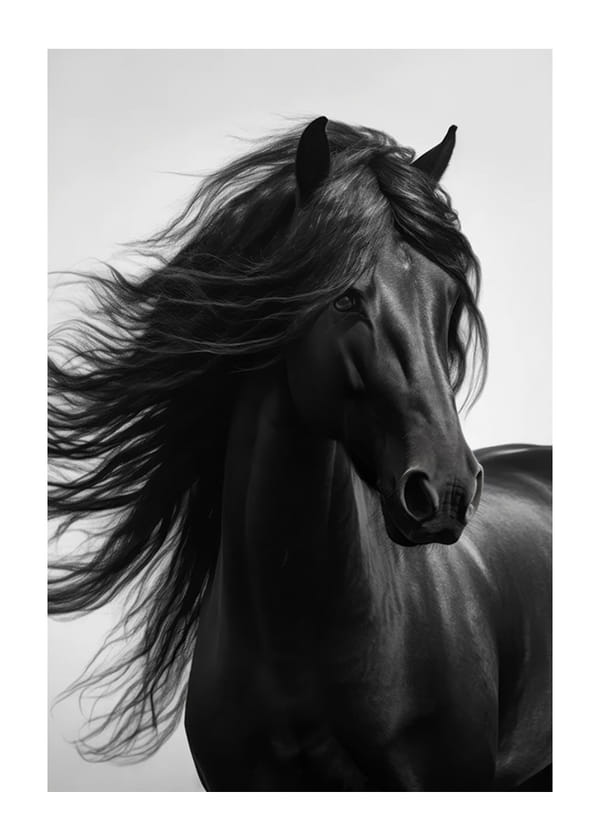 Plakat Black Horse Show No1