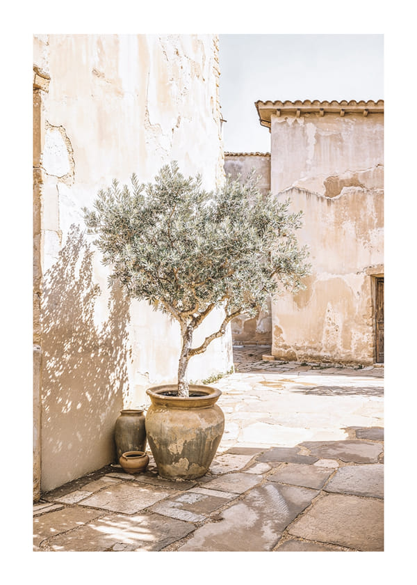 Poster Olive Tree Mediterranean Setting No1