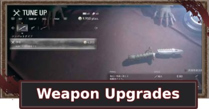 Weapon Upgrade