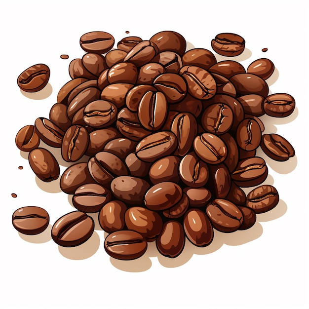 coffee drink bean seed isolated food espresso caffeine illustration ingredient roasted ve