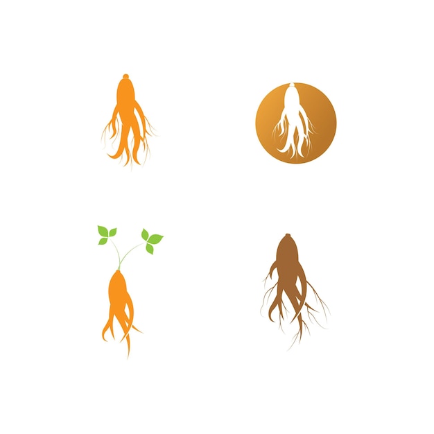 Ginseng vector icon illustration design template