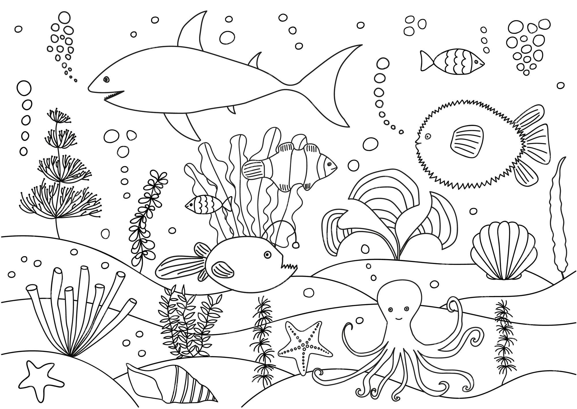 free coloring pages of ocean fish