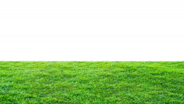 Grass Background Images - Free Download on Freepik