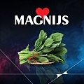 magnijs