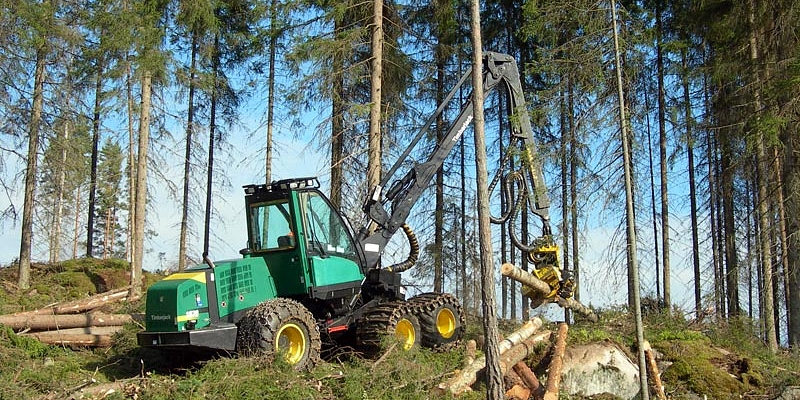 Meža taksācija, meža novērtēšana, mežu, cirsmu pirkšana, pērk mežu