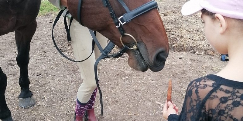 Rehabilitācija cietušajiem no vardarbības