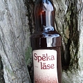 Spēka lāse