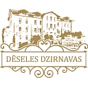 DĒSELES DZIRNAVAS