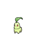 Chikorita