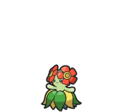 Bellossom